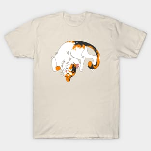 Silly Cat T-Shirt